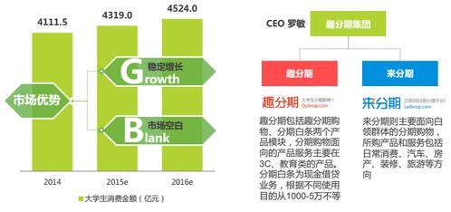 分期電商市場深度調研 現狀、機遇與挑戰